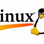 ¿Qué o quién es Linux?
