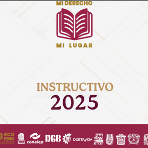 Instructivo ECOEMS oficial 2025