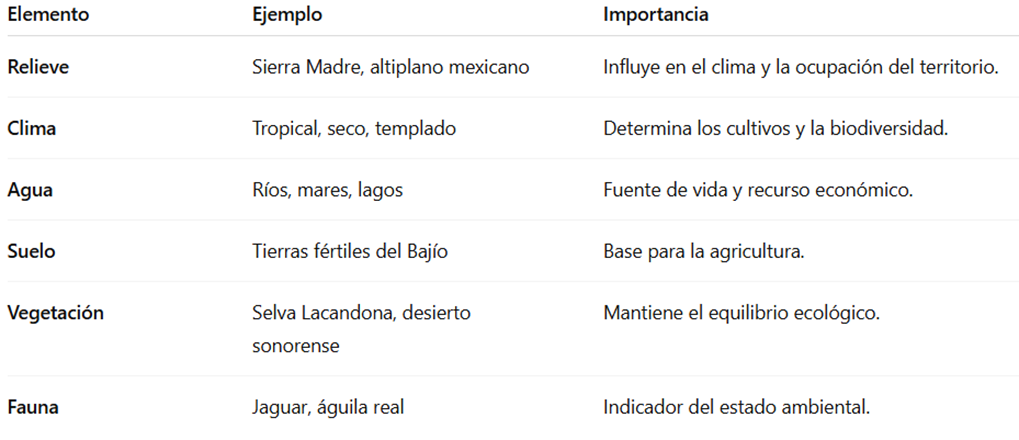 📋 Cuadro resumen: Componentes naturales