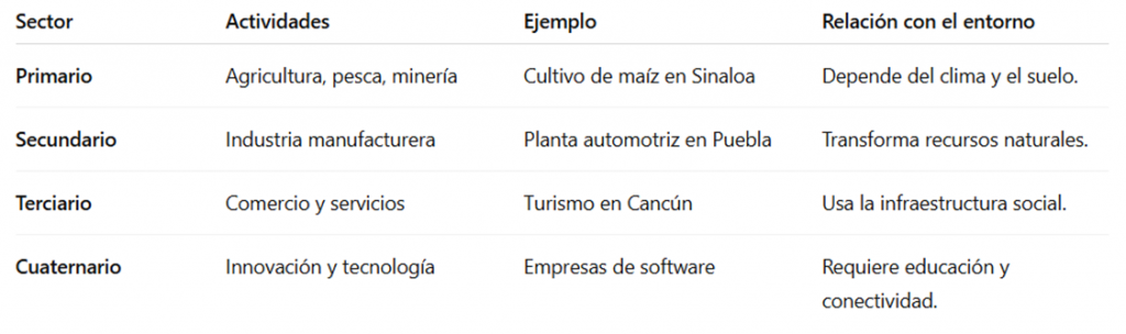 Cuadro resumen: Componentes económicos