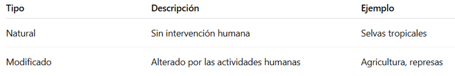 Cuadro resumen: Medio